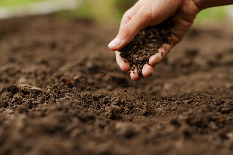 Disoccupazione Agricola: domande presso i nostri Caf Fapi Cesac